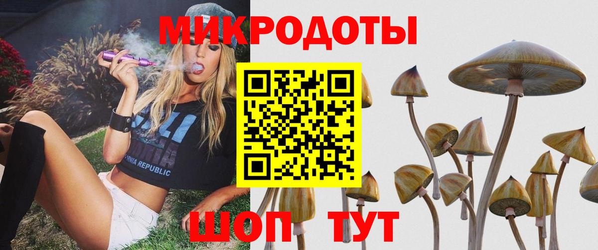 Старая Купавна  Галлюциногенные грибы MAGIC MUSHROOMS  Псилоцибиновые грибы Psilocybine cubensis  Вход с VPN 